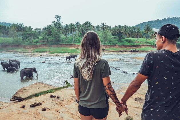 Romance in Paradise 3